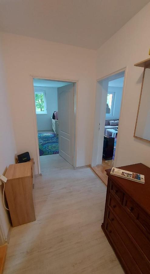 Apartman Milica Vrsac Exterior foto