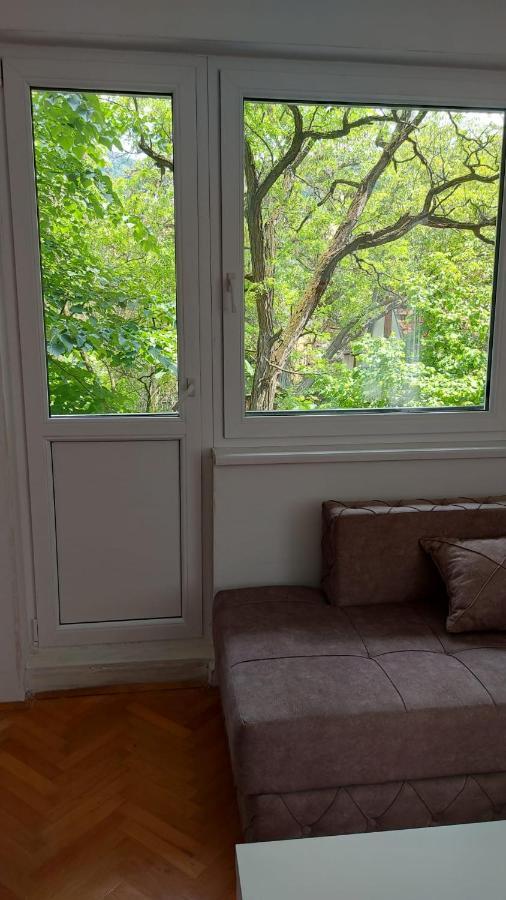 Apartman Milica Vrsac Exterior foto